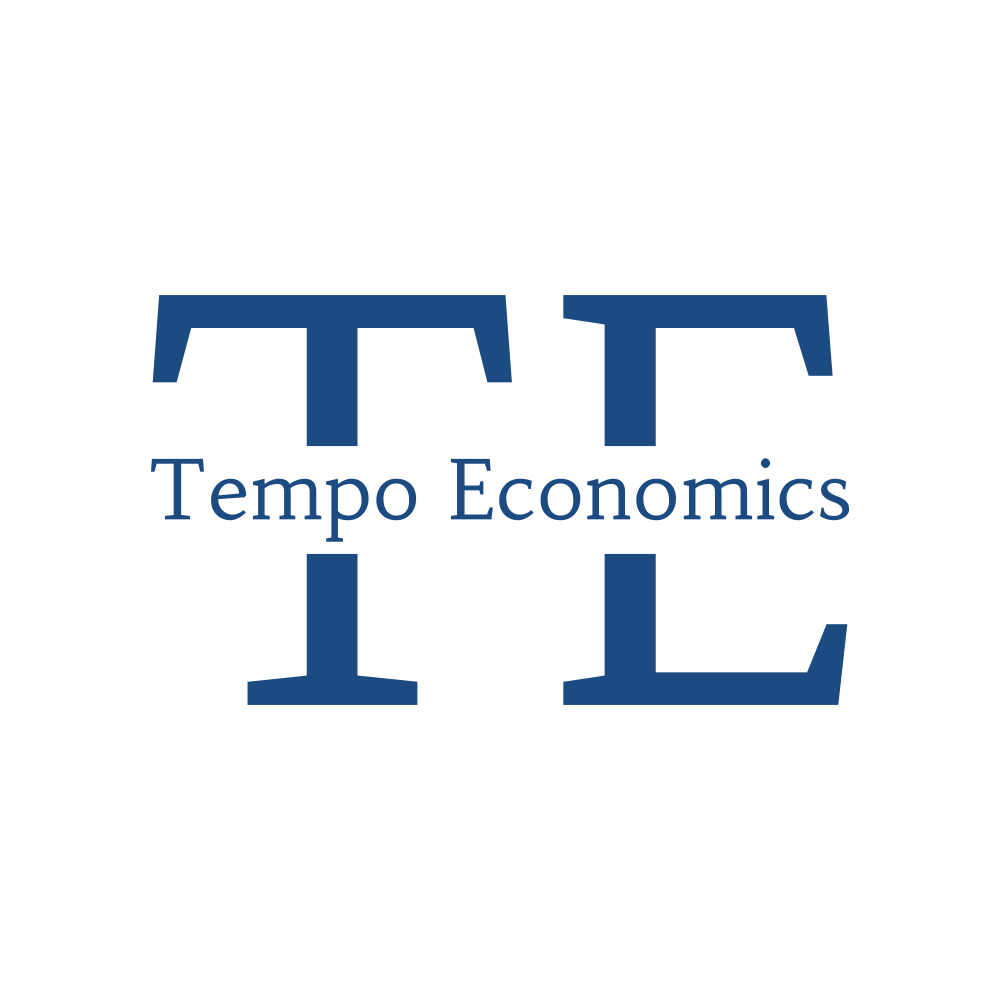 tempoeconomics.fi